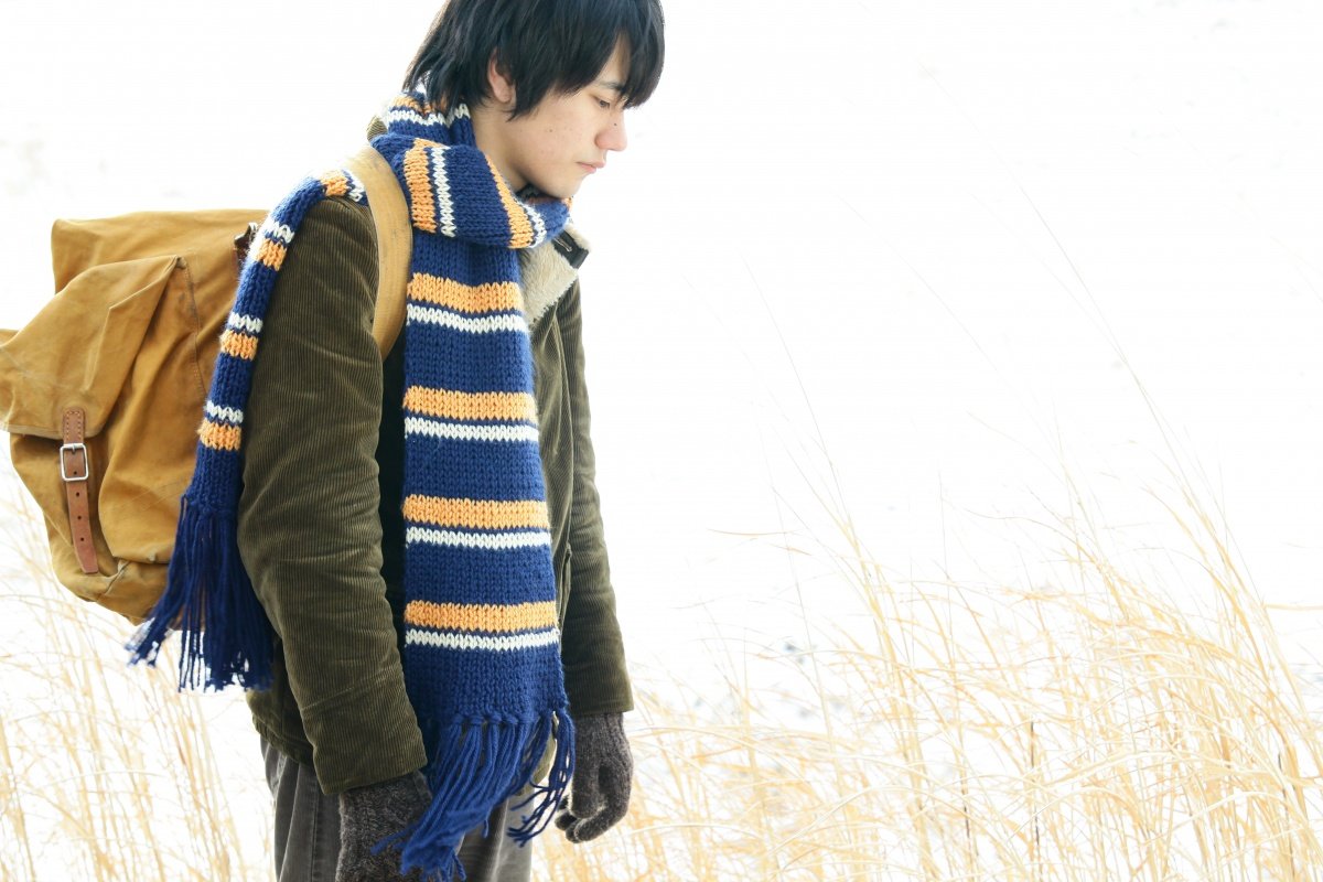 Норвежский лес фильм 2010