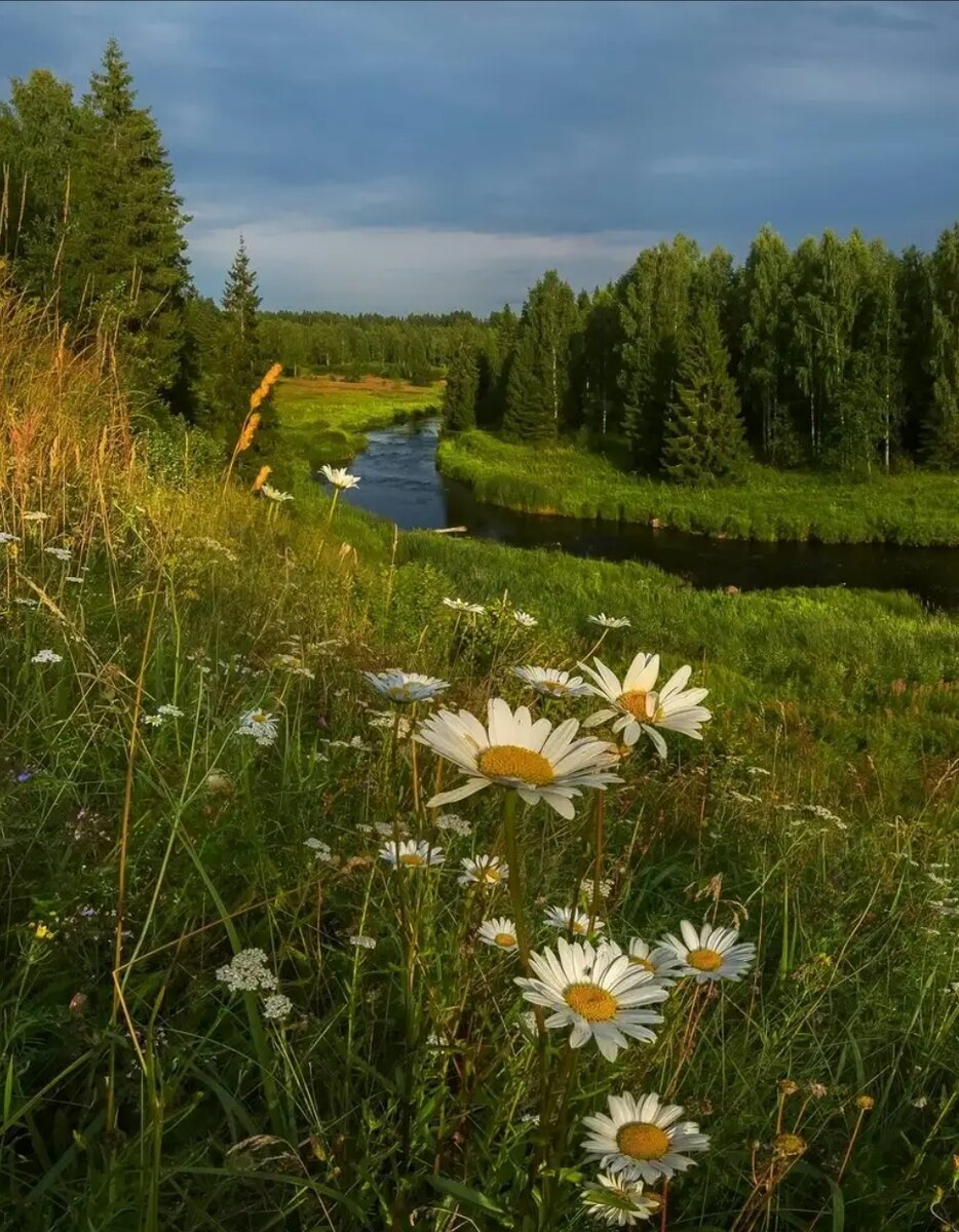 Природа летом