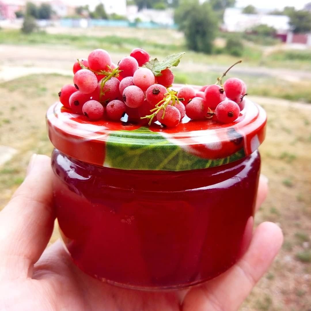 Желе из красной смородины на зиму простой