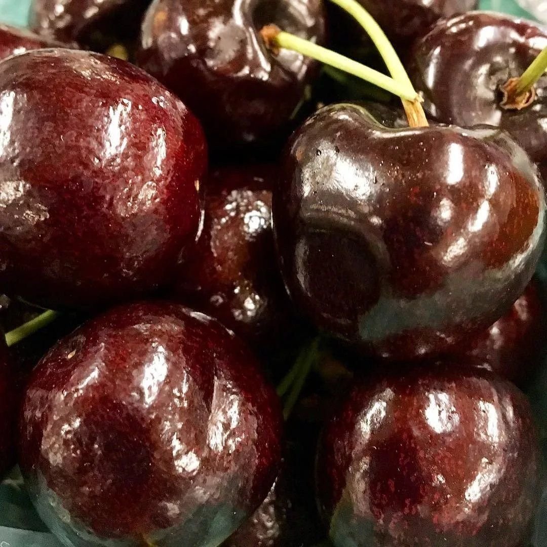Черешня гилас кокон