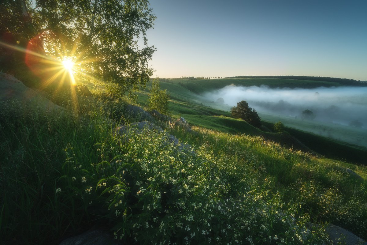 Красивая солнечная природа