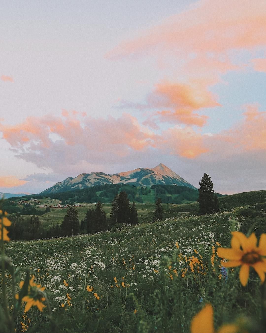 Природа aesthetic