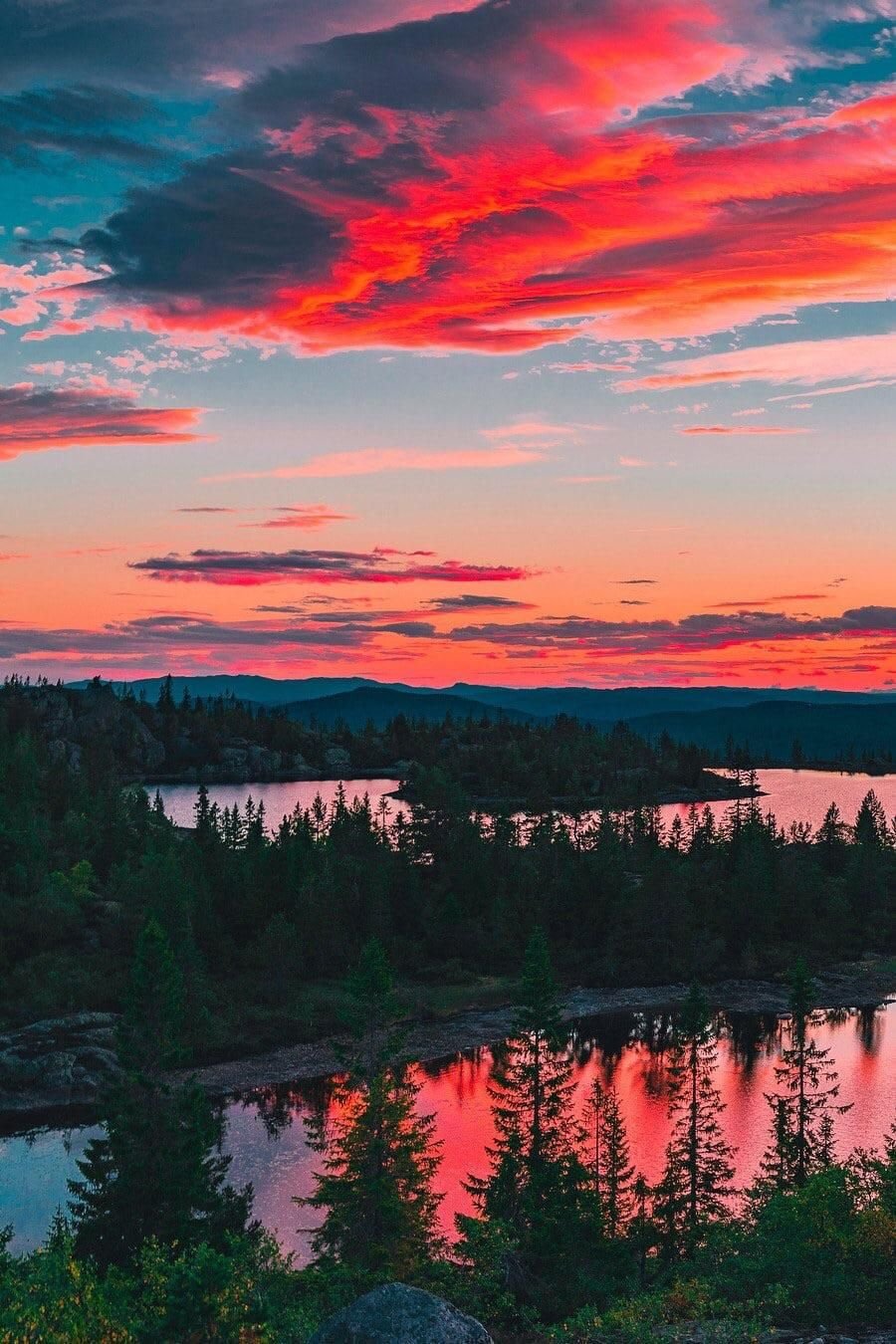 Закат в лесу