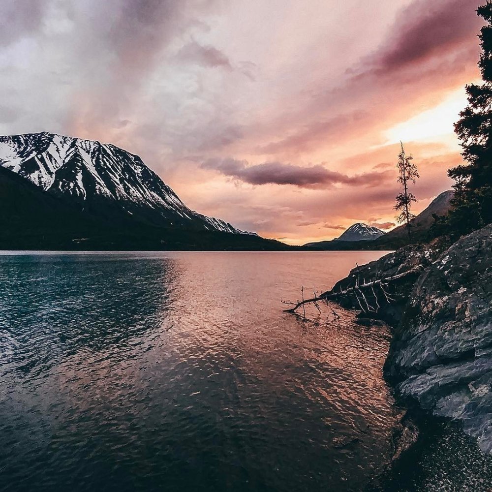 Тумблер природа