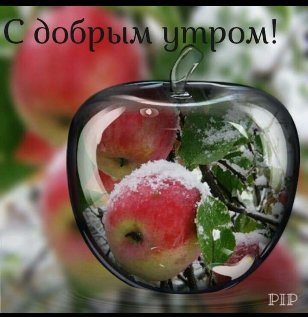 Пожелания с добрым утром с фруктами