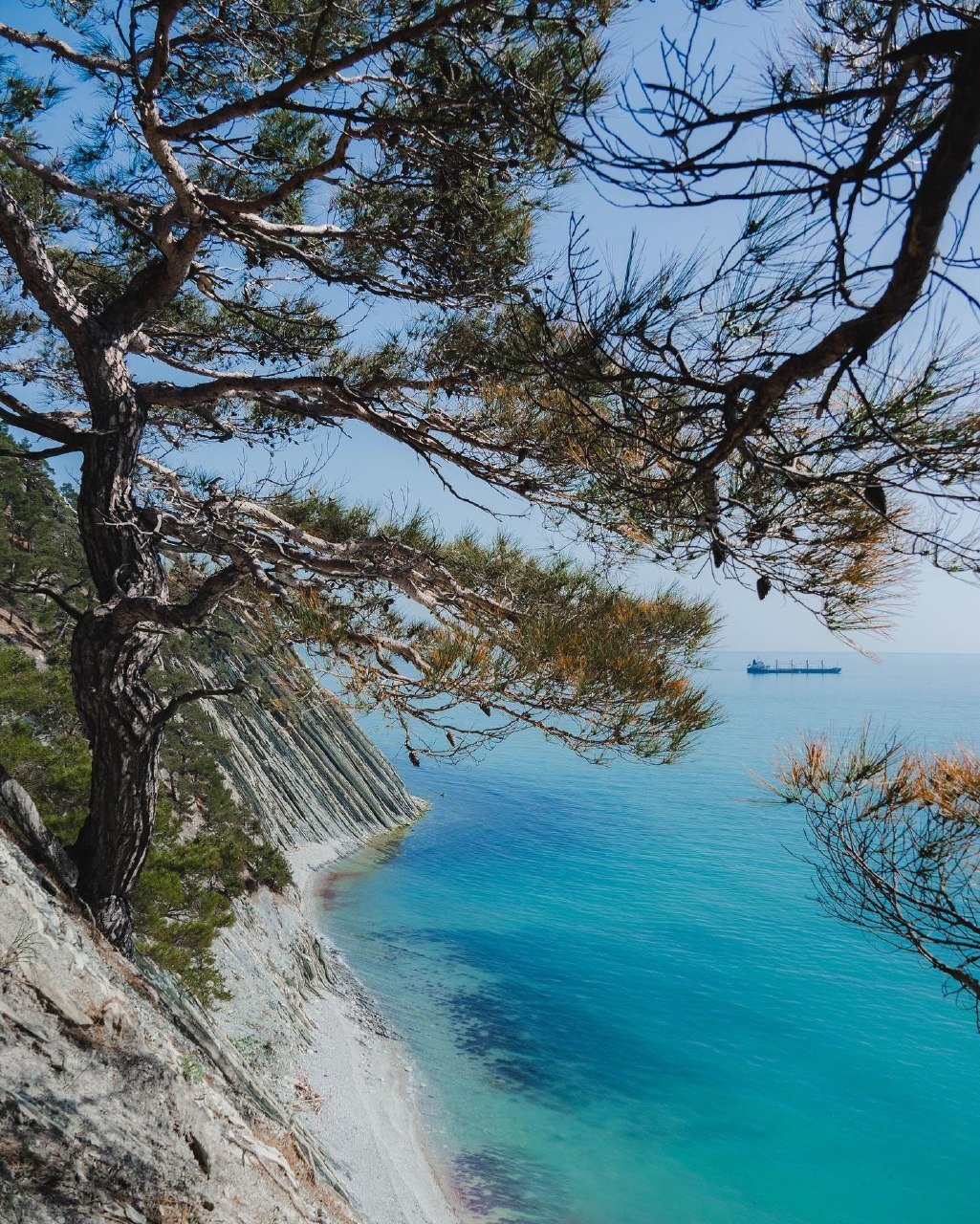 Голубая бухта природа