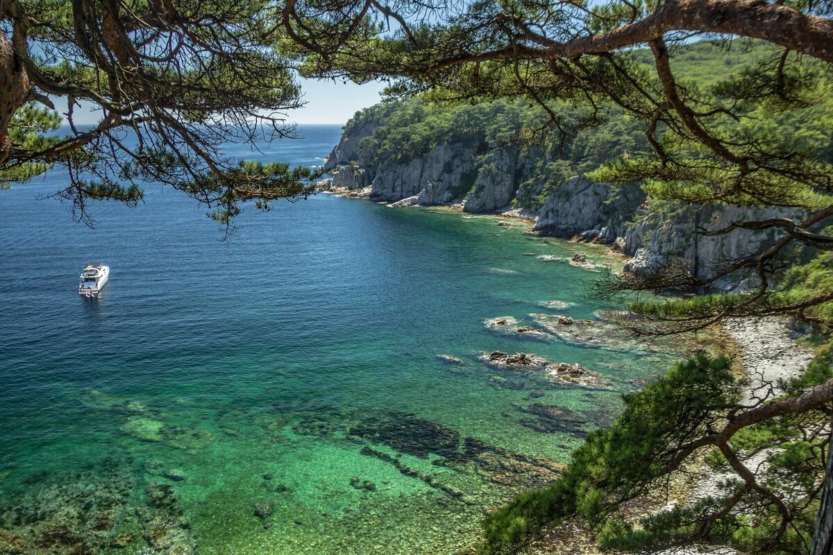 Приморье полуостров Гамова