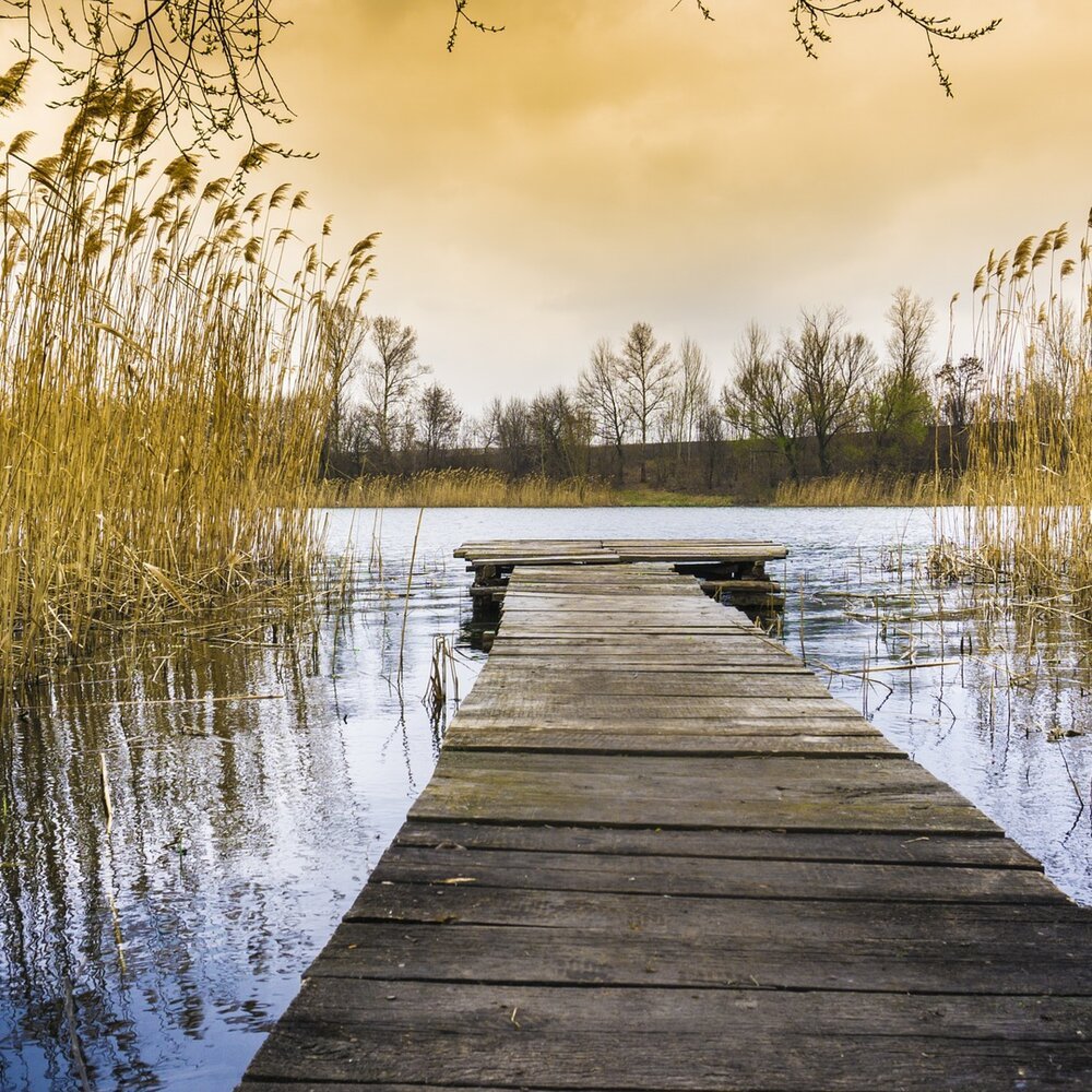 Calmness nature