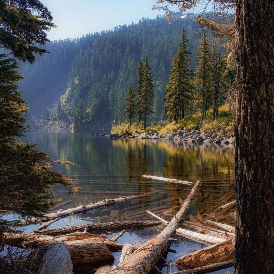 North Bend Washington