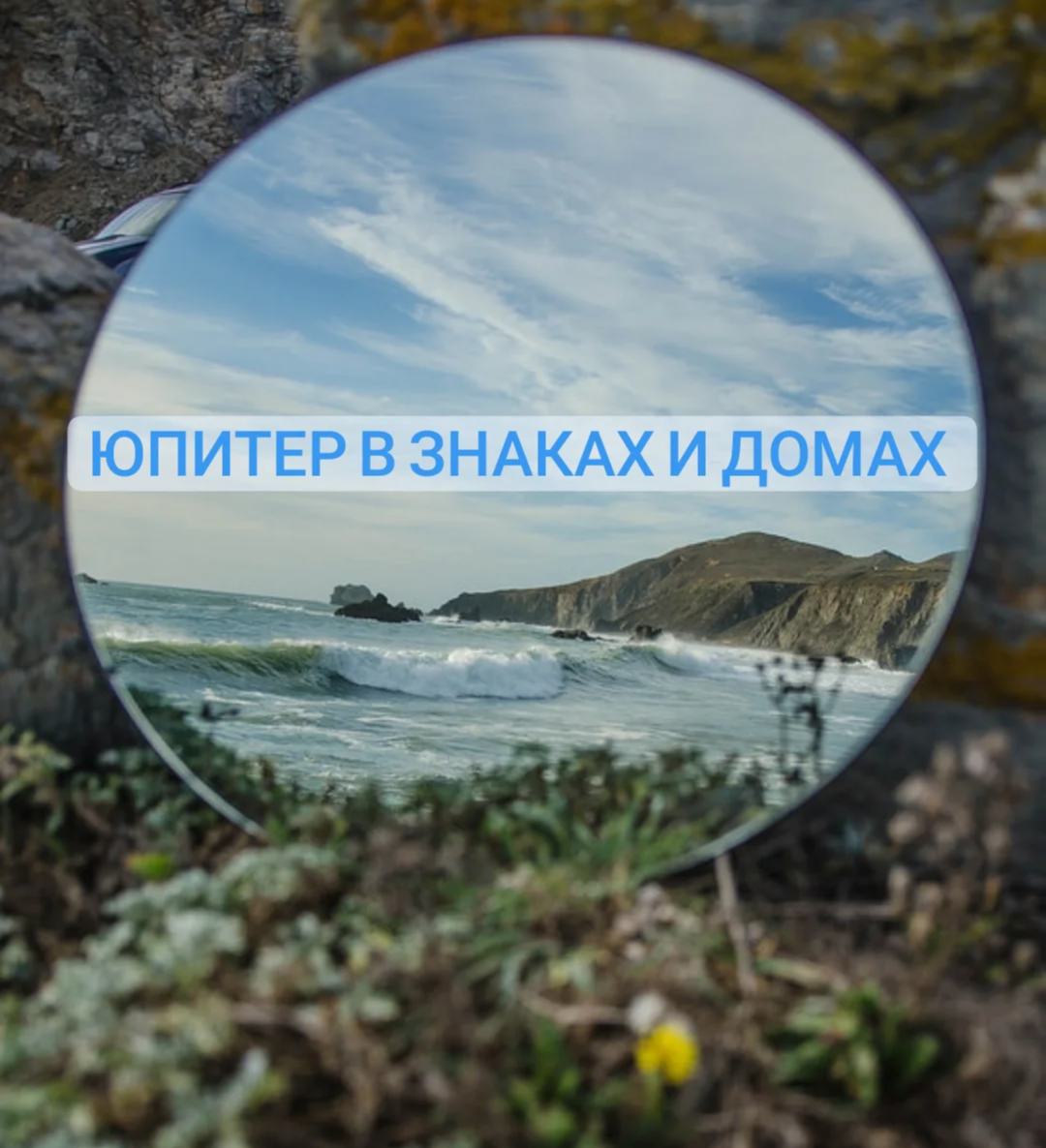 Отражение природы в зеркале