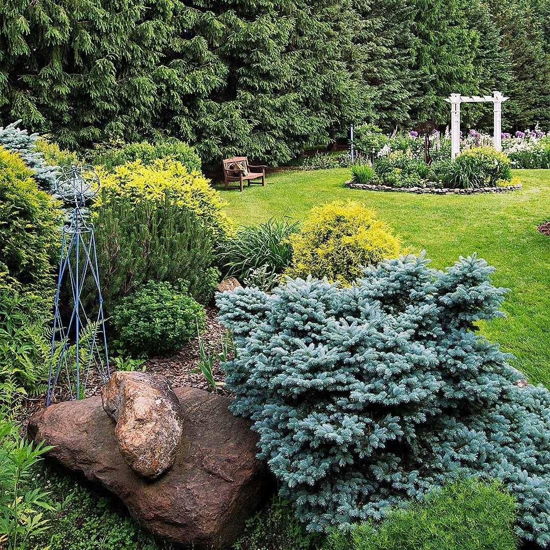 Coniferous Garden Балашиха