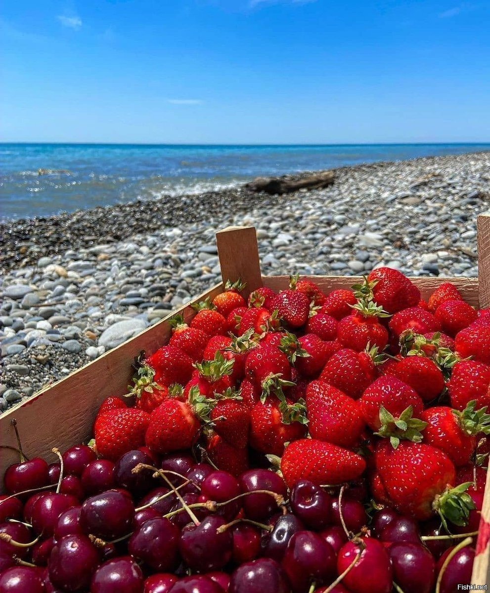 Клубника и море