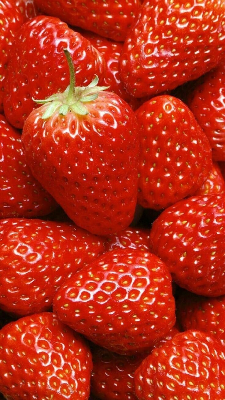 Кулупника