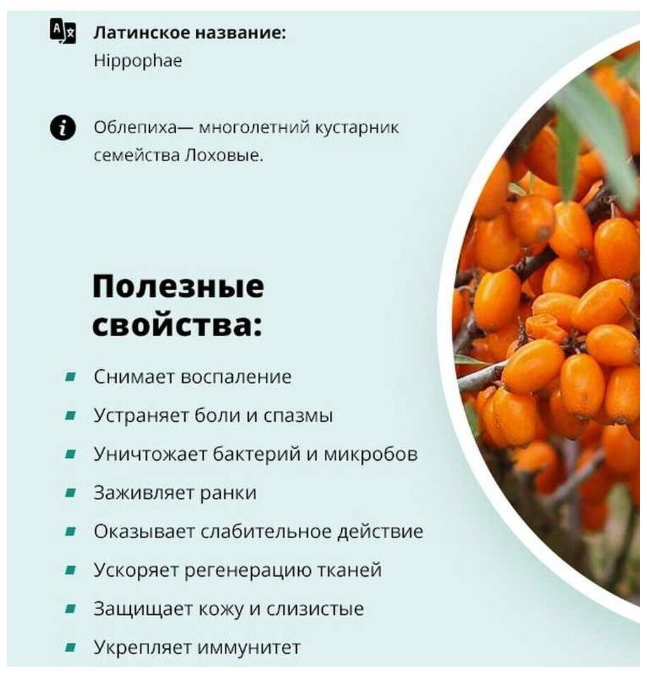 Чем полезна облепиха