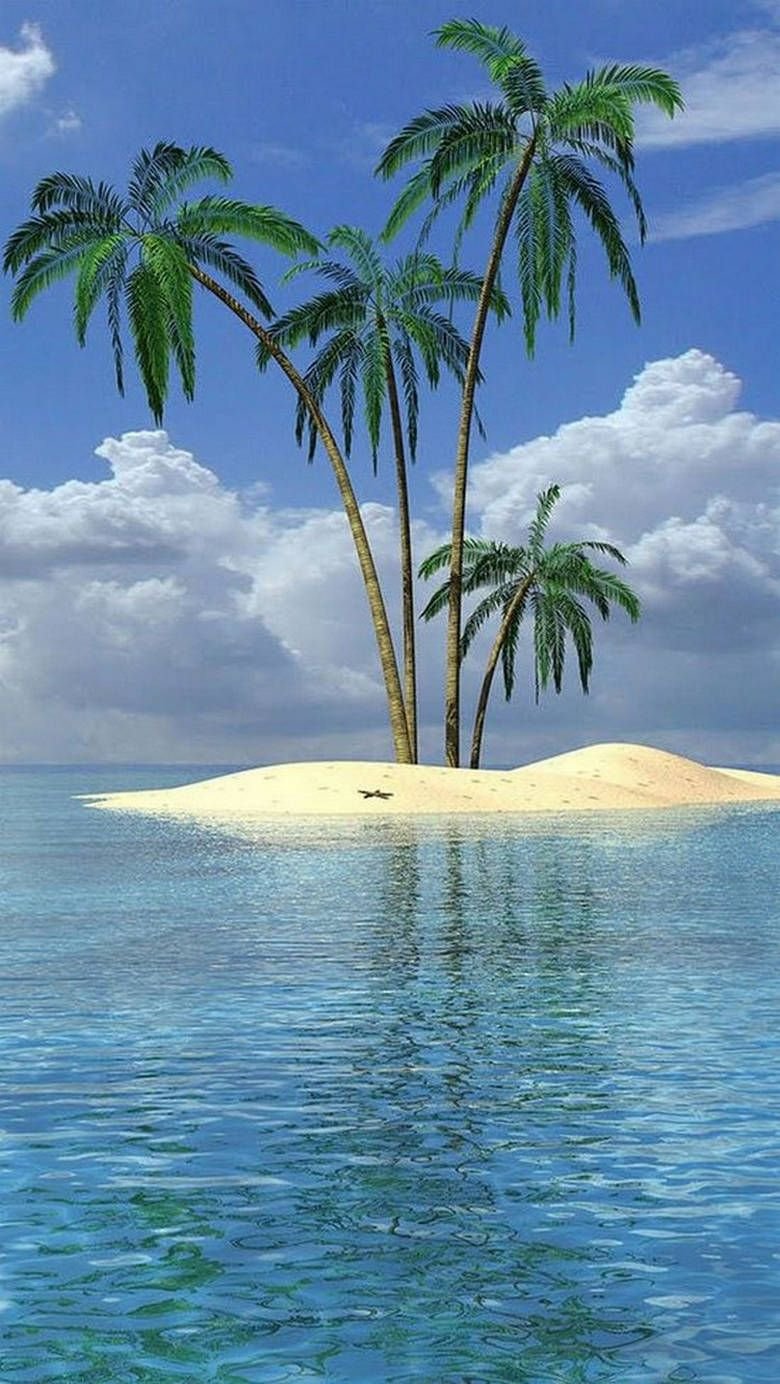 Море пальмы