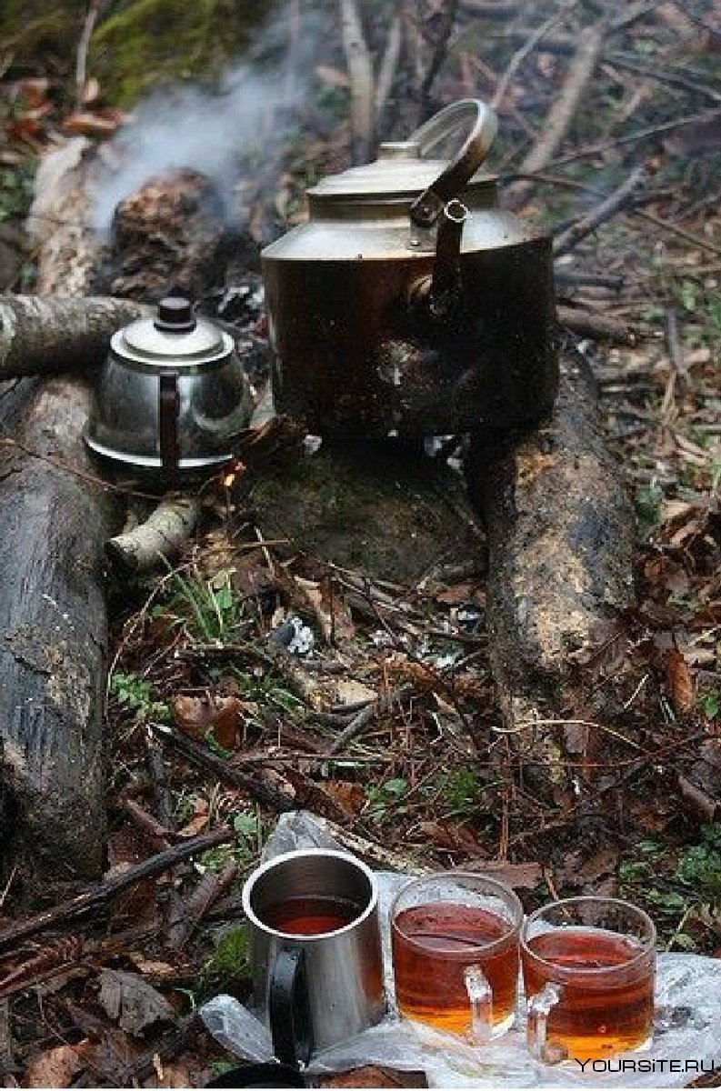 Кружка чая в лесу