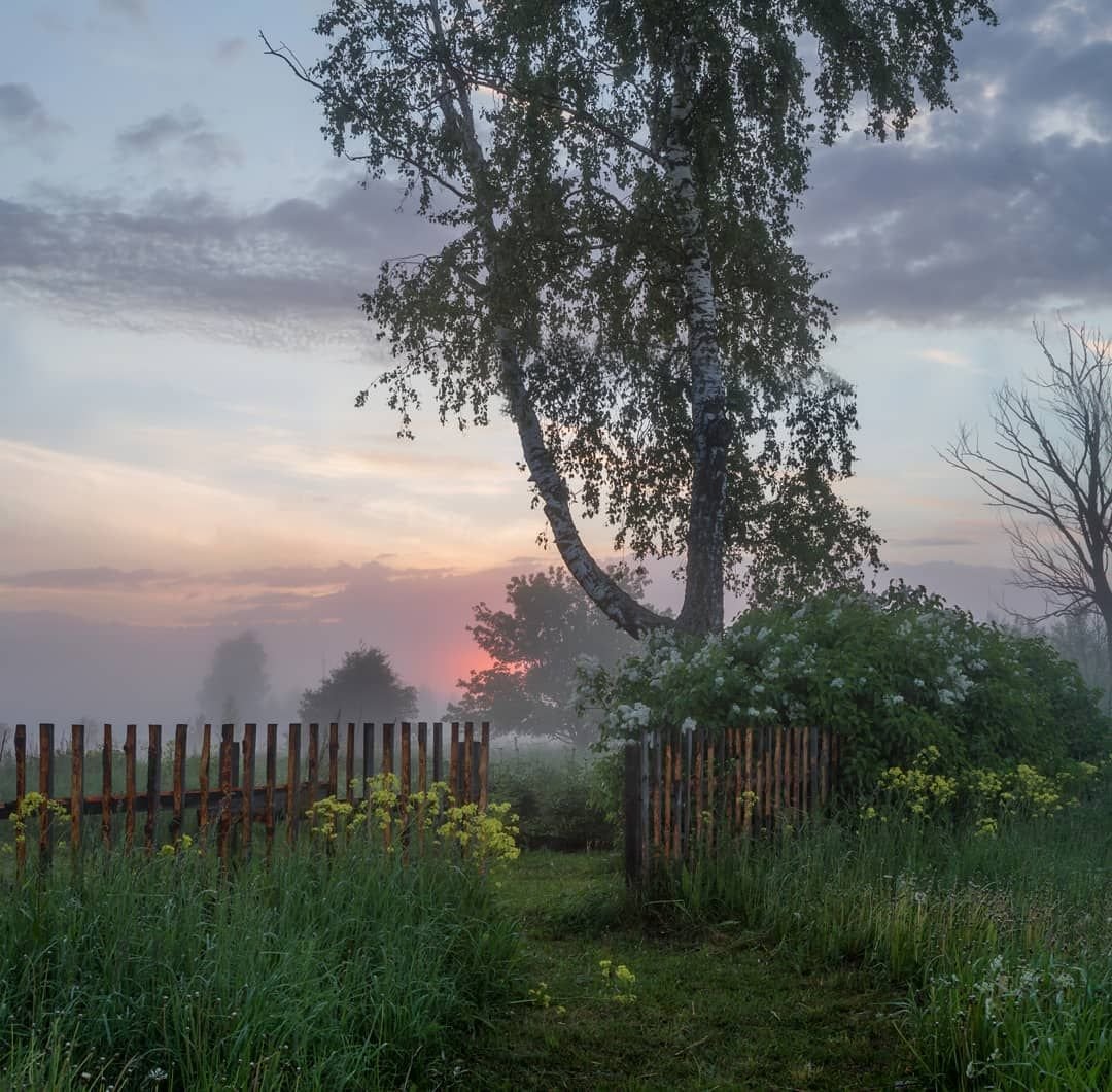Природа раннее утро