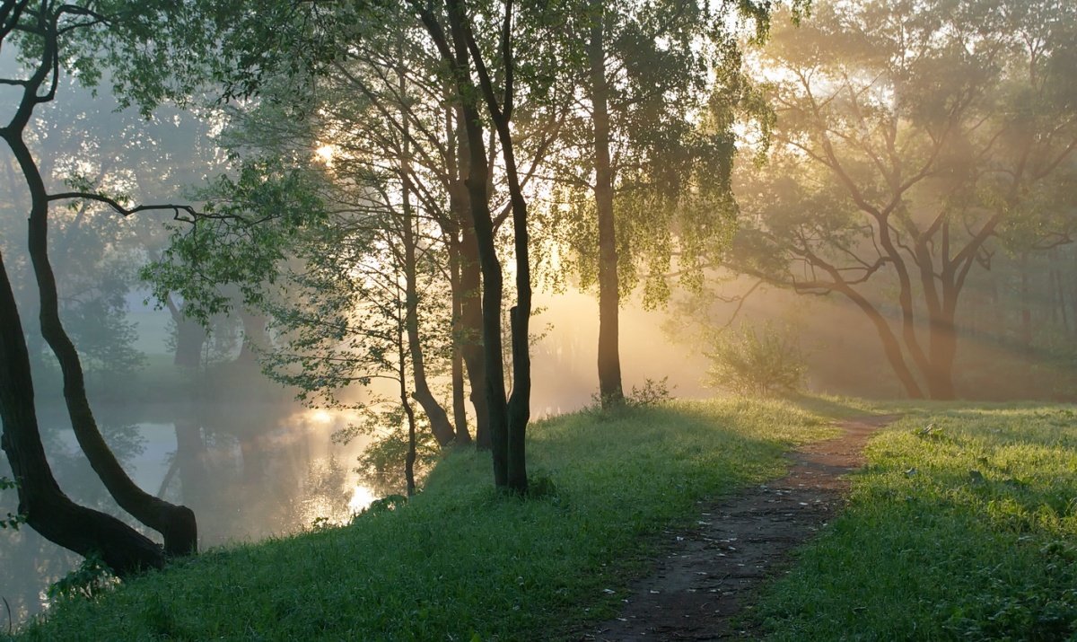 Природа раннее утро