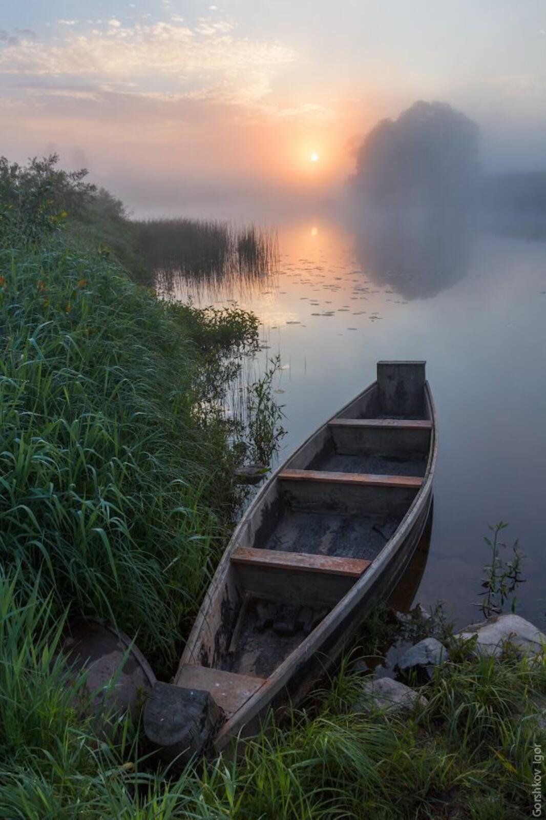 Лодка в тумане