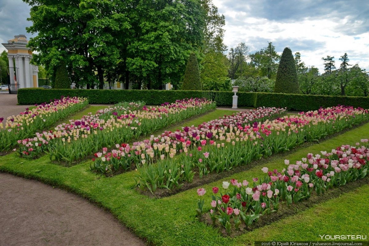 Партерный парк Петергоф