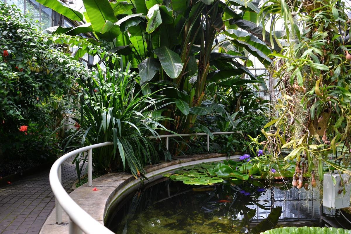 Ботанический сад (Botanická zahrada) Прага