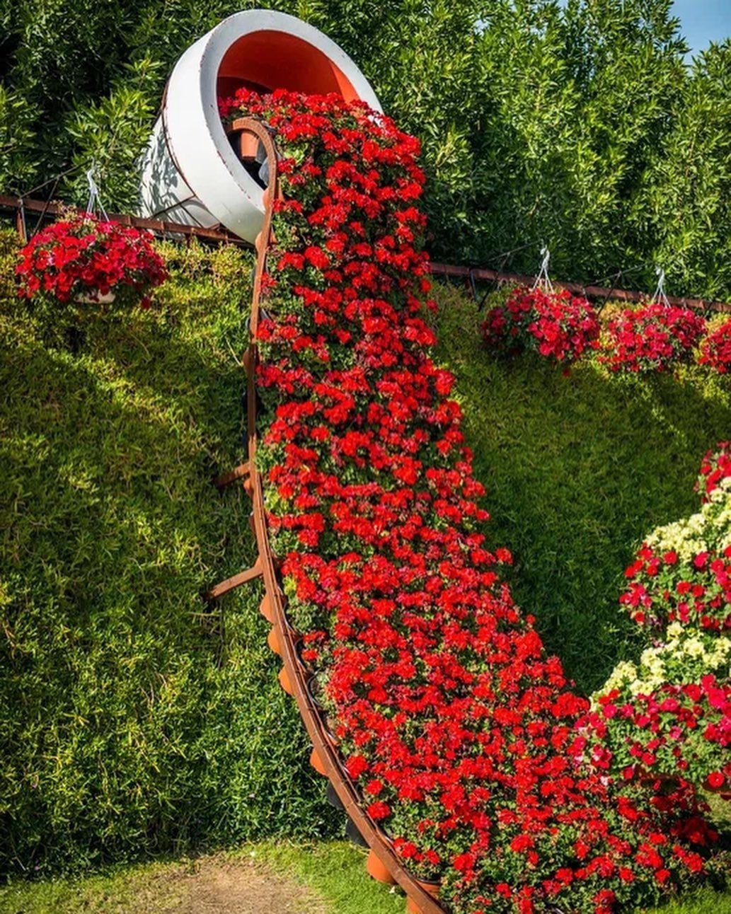 Петуния ампельная вертикальное Озеленение