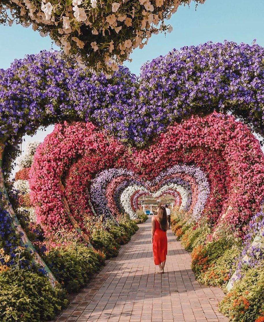 Парк цветов Dubai Miracle Garden
