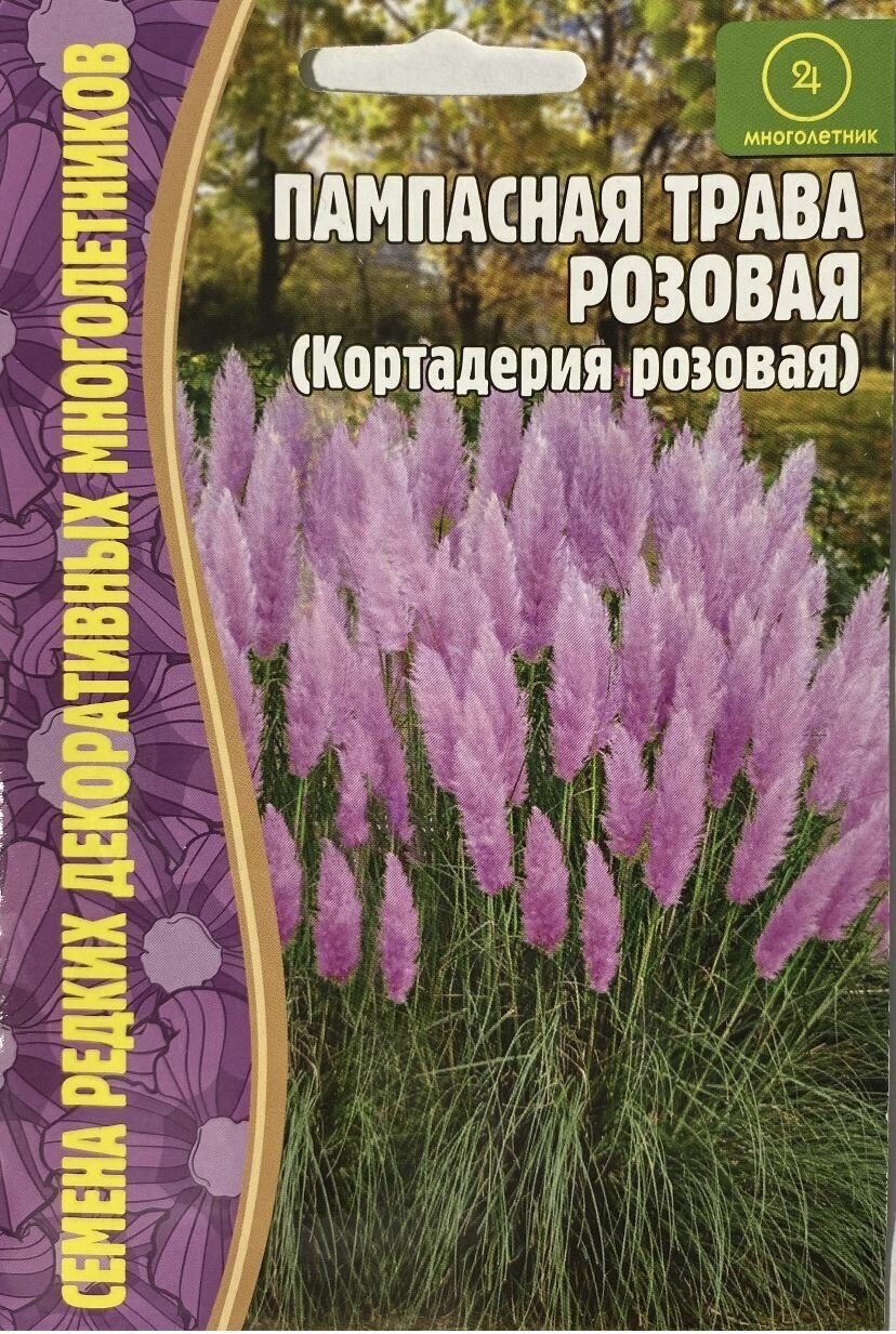 Пампасная трава микс