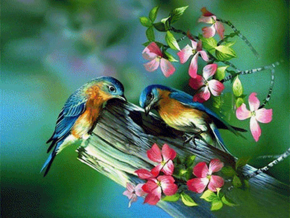 Красивая природа с птичками
