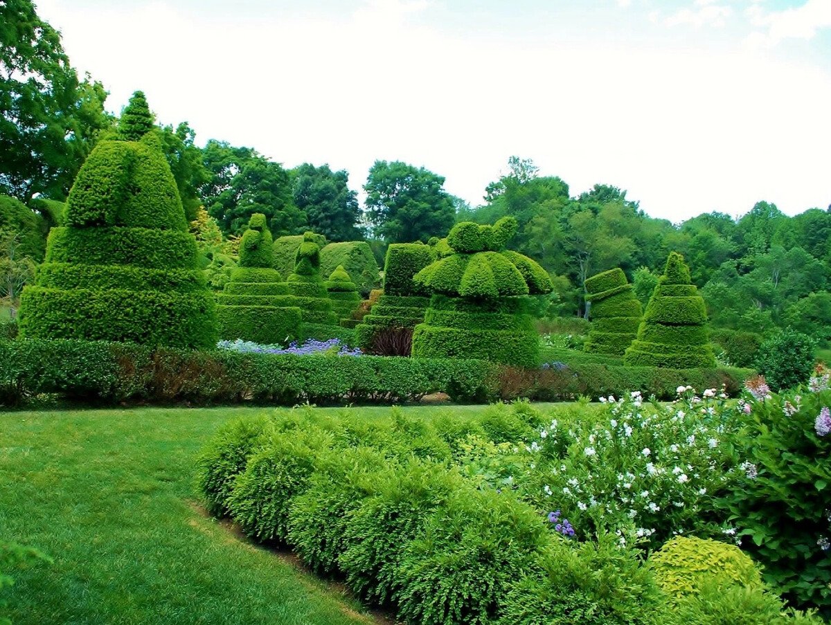 Ladew Topiary Gardens лебедь