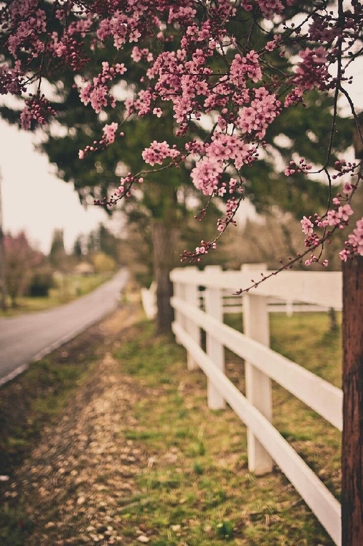 Весна природа стильно
