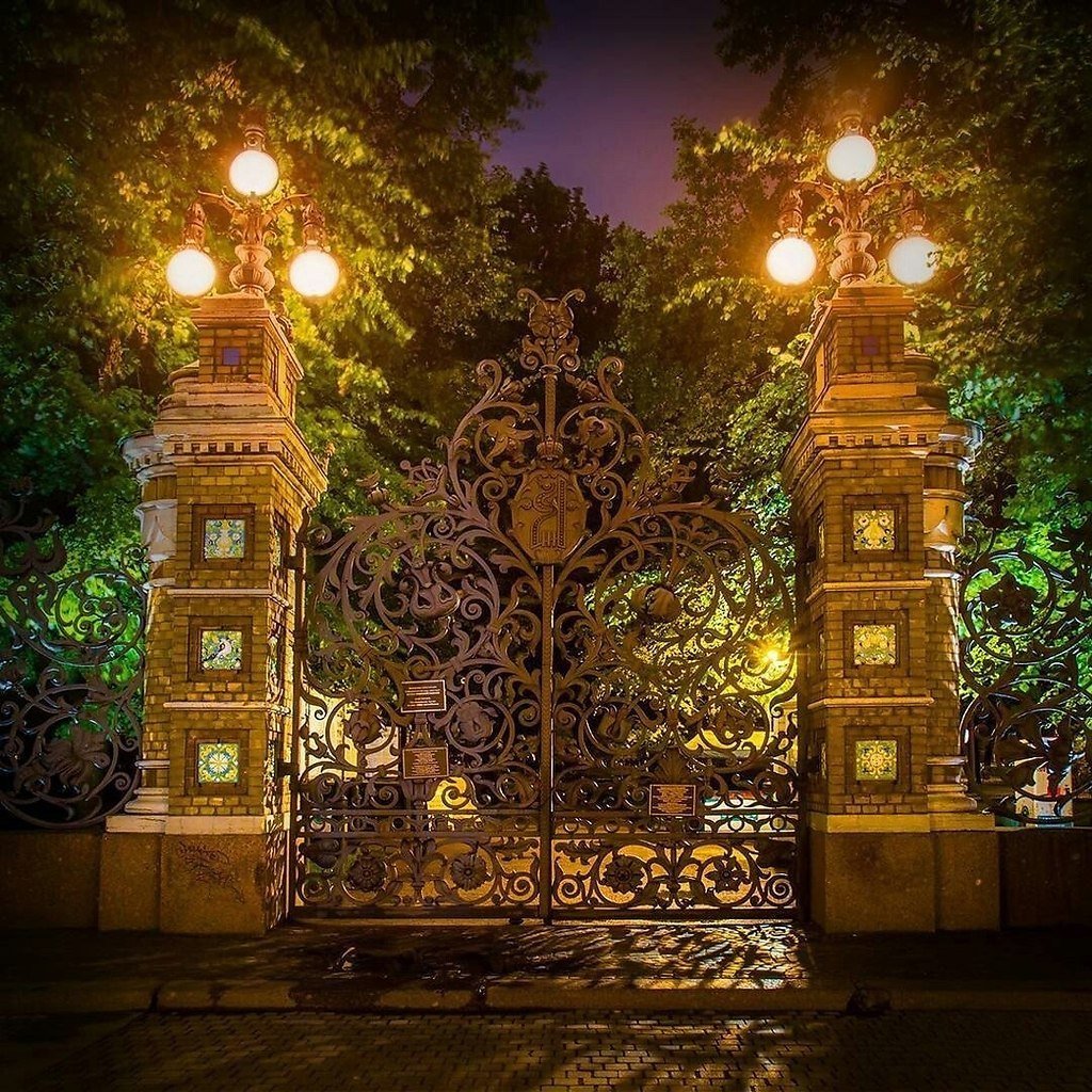 Михайловский сад ночью Санкт-Петербург