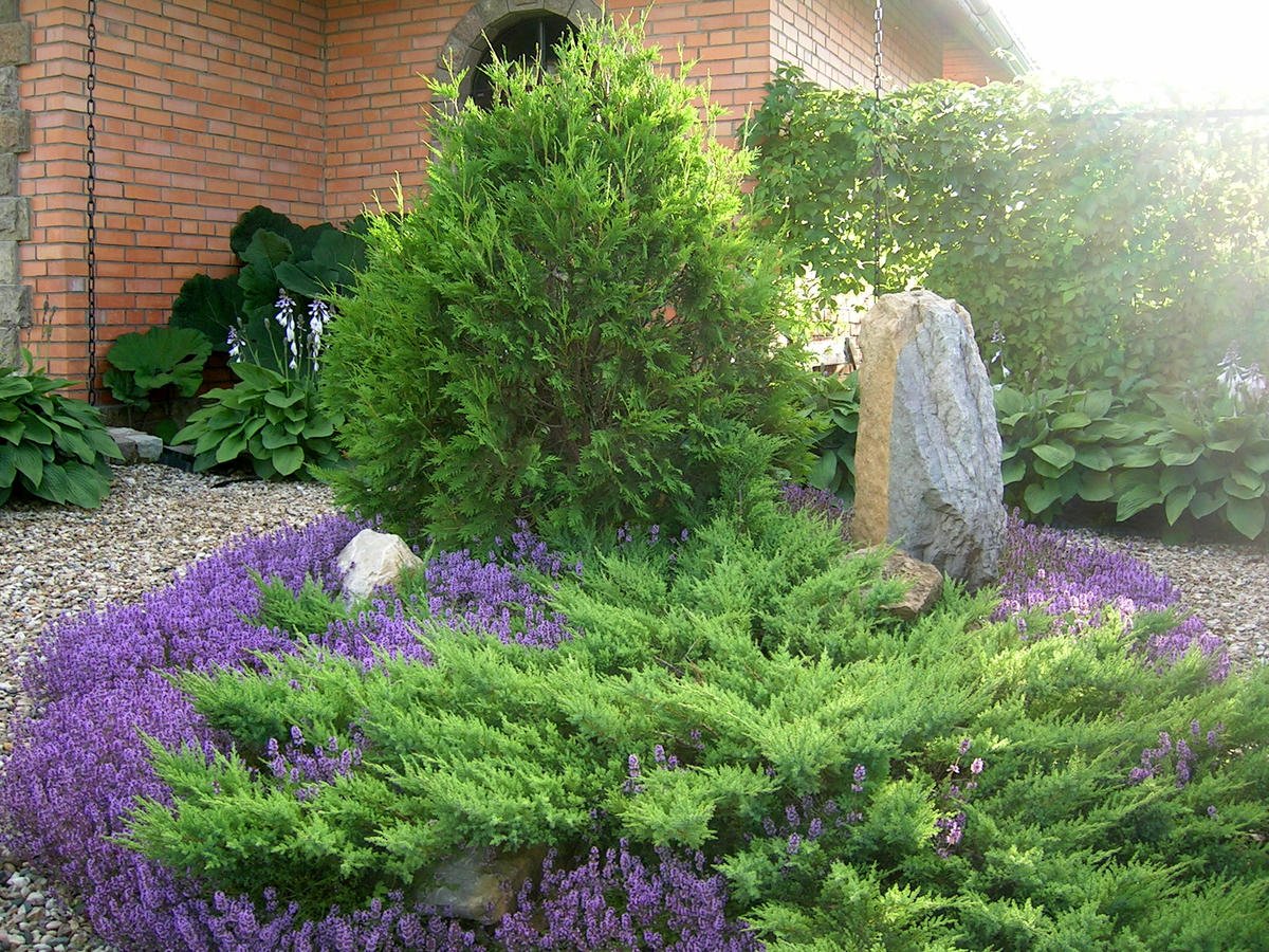 Ель Коника, можжевельник, спирея