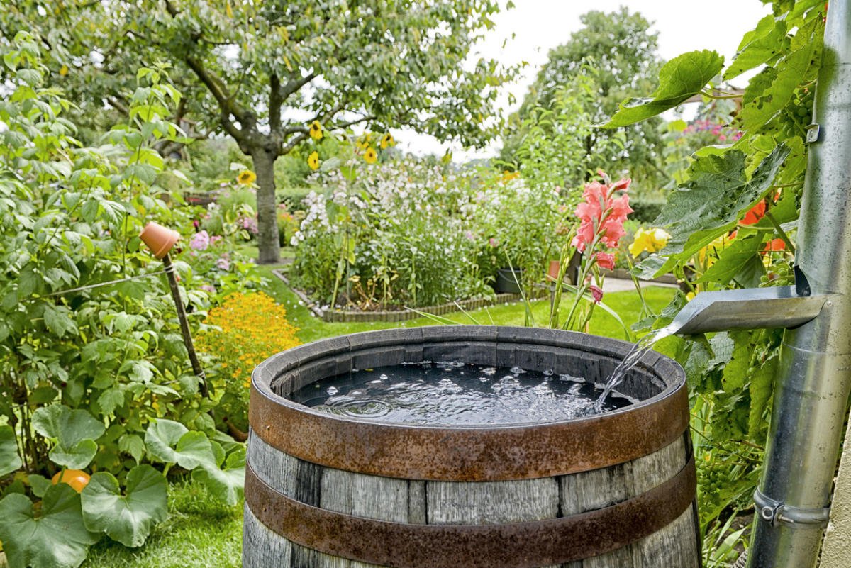 Дождевая бочка Rain Barrel