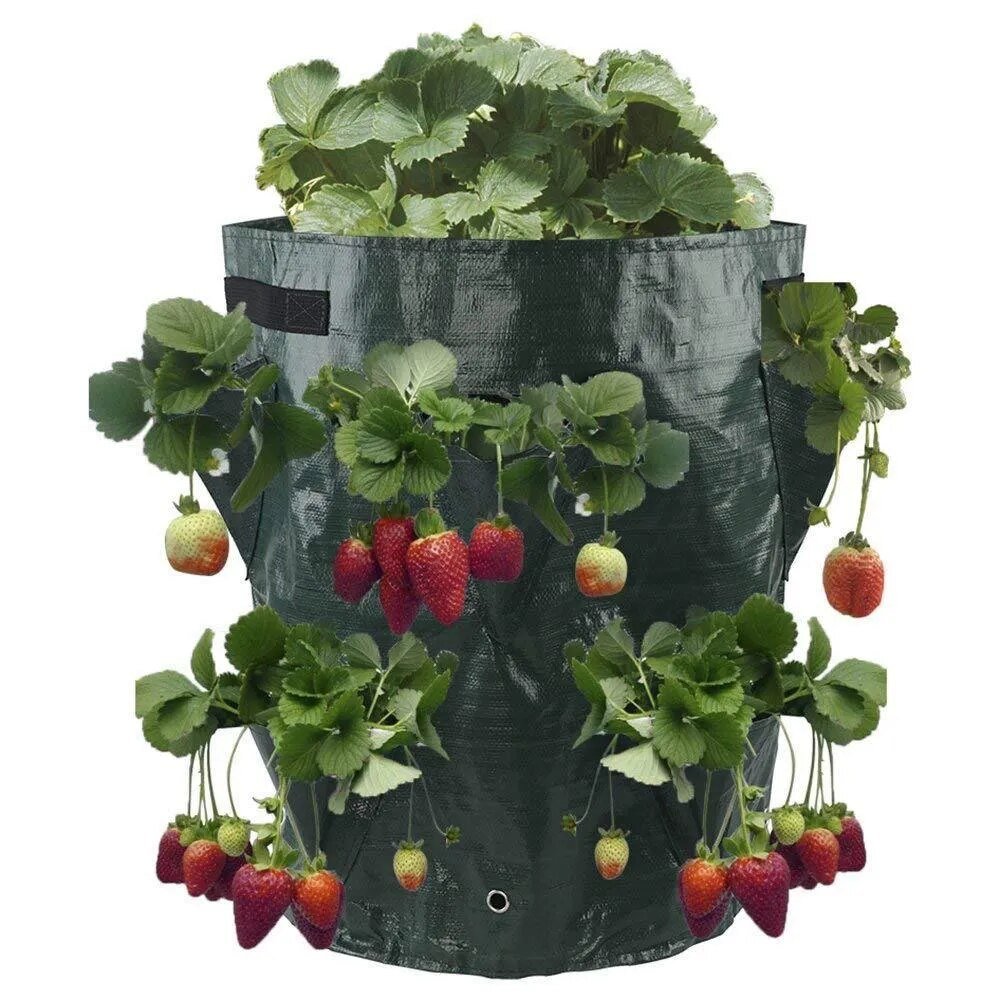 Подвесные грядки для клубники