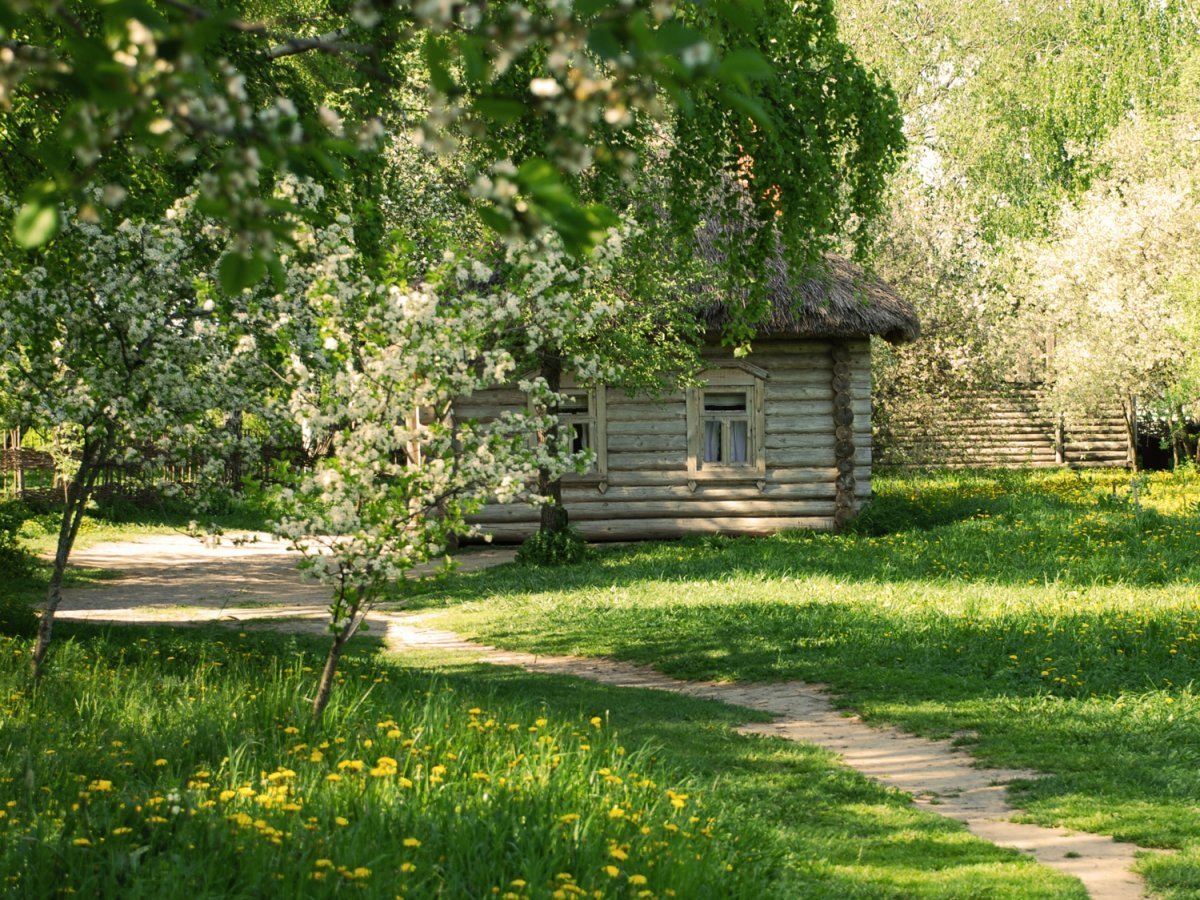 Деревенский домик летом