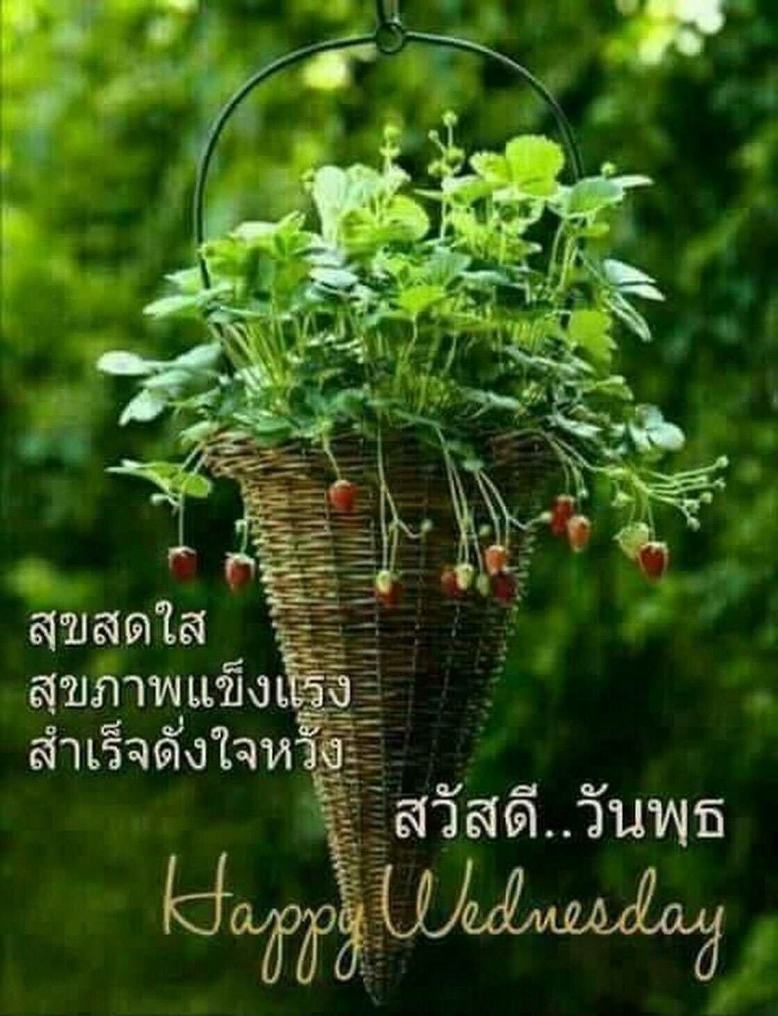 Кустики клубники в кашпо из ротанга