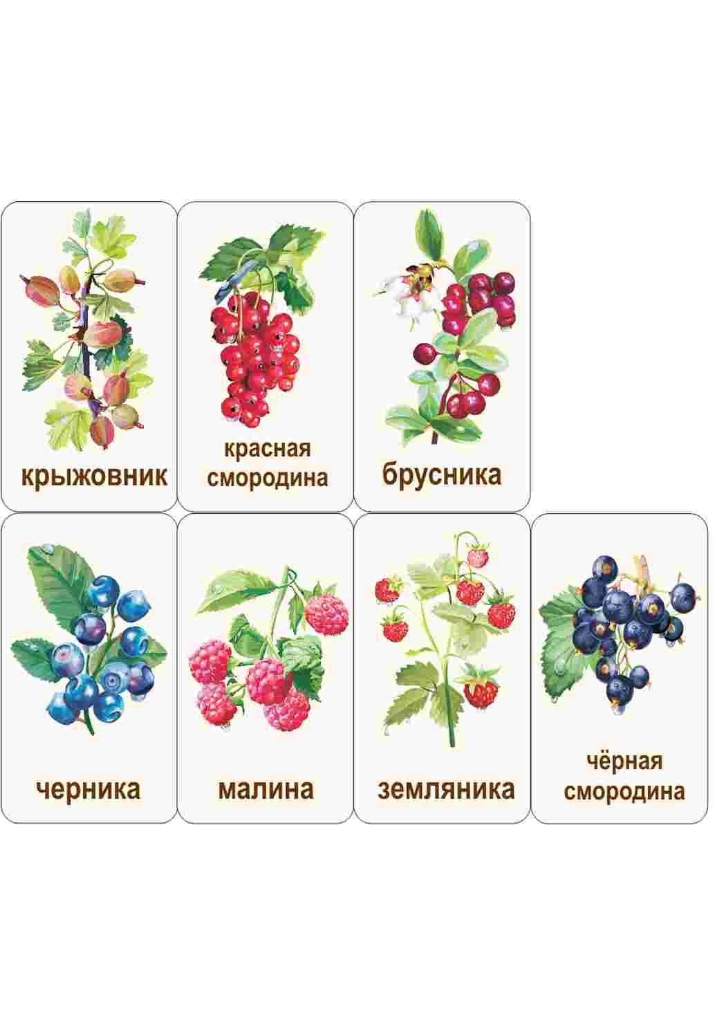 Карточки ягоды для детей