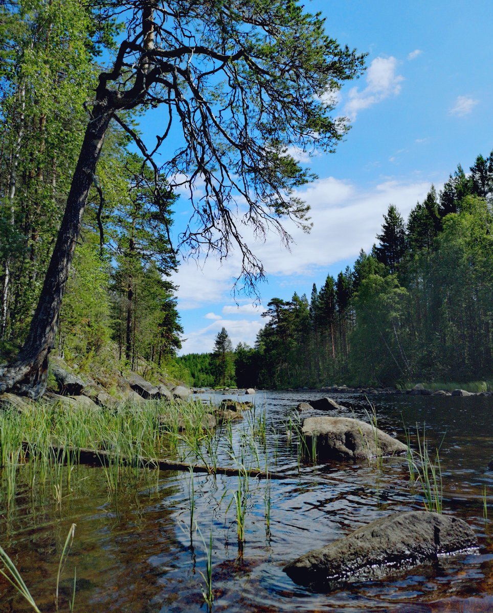 Северная Карелия