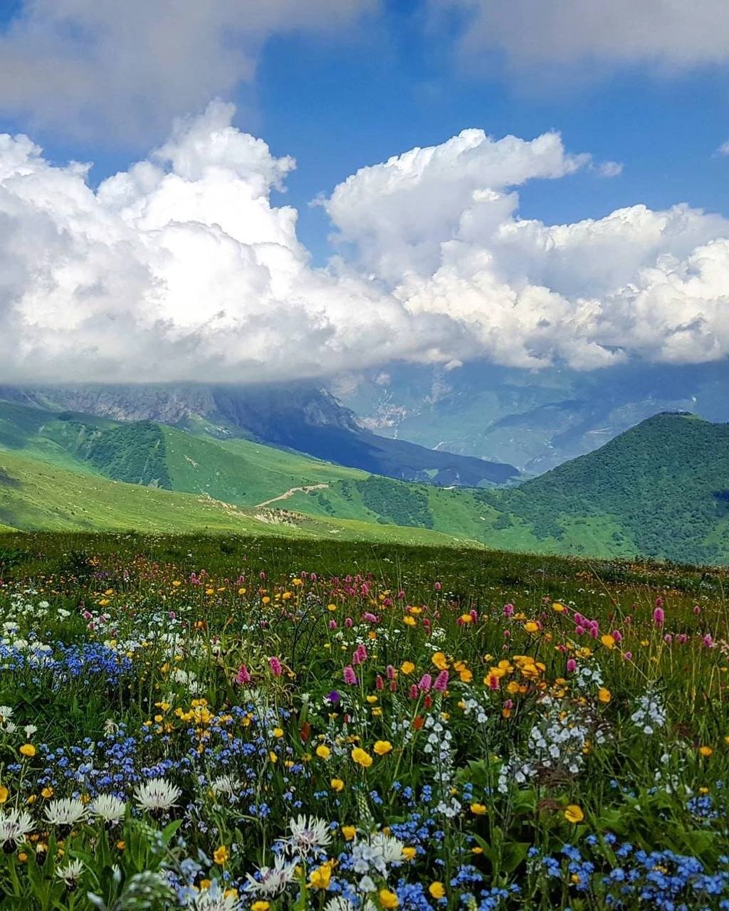 Южная Осетия Альпийские Луга