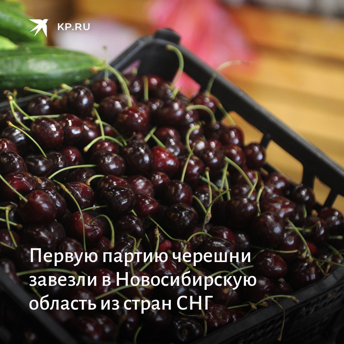 Мелитопольская черешня