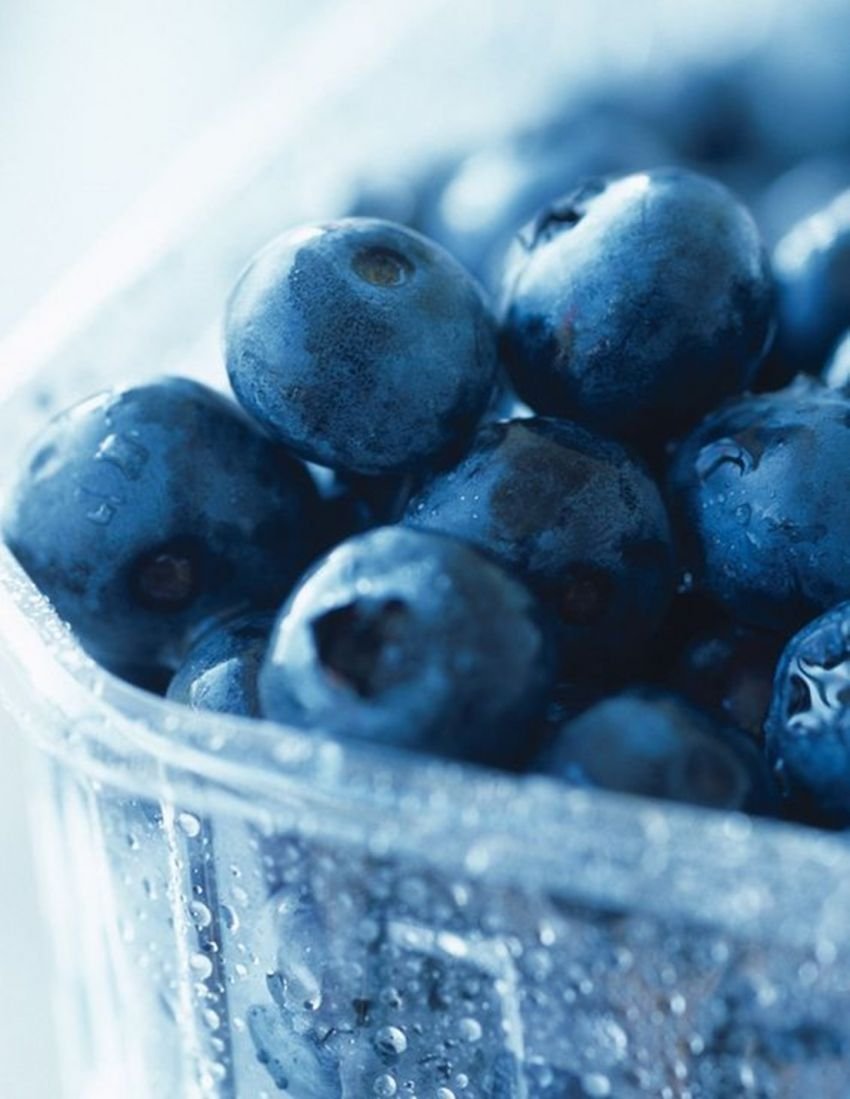 Blueberry Bilberry