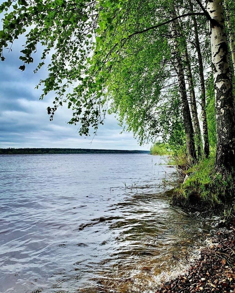 Волжский природа