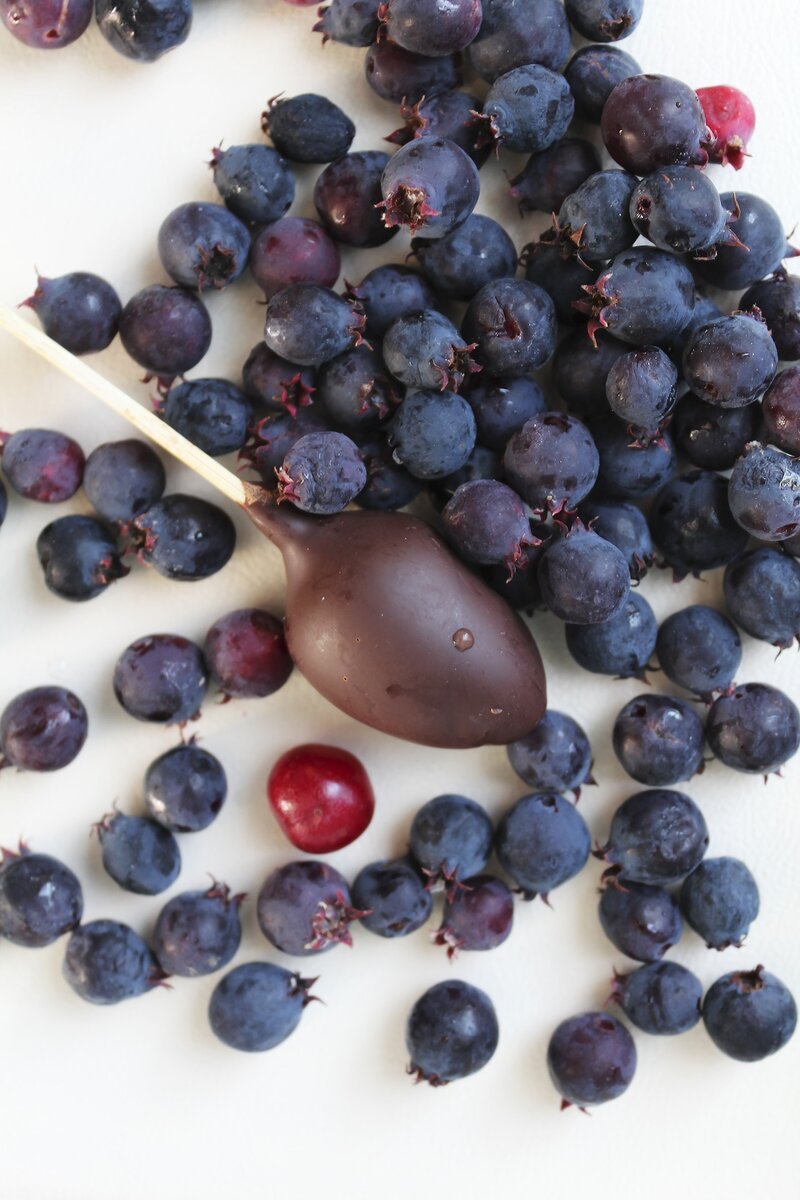 Ирга «Saskatoon Berry»