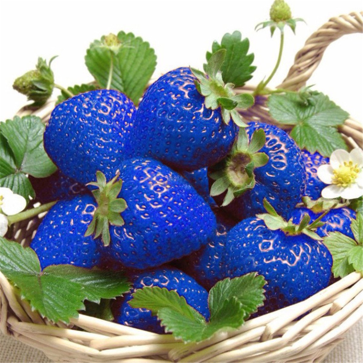 Клубника Ромина