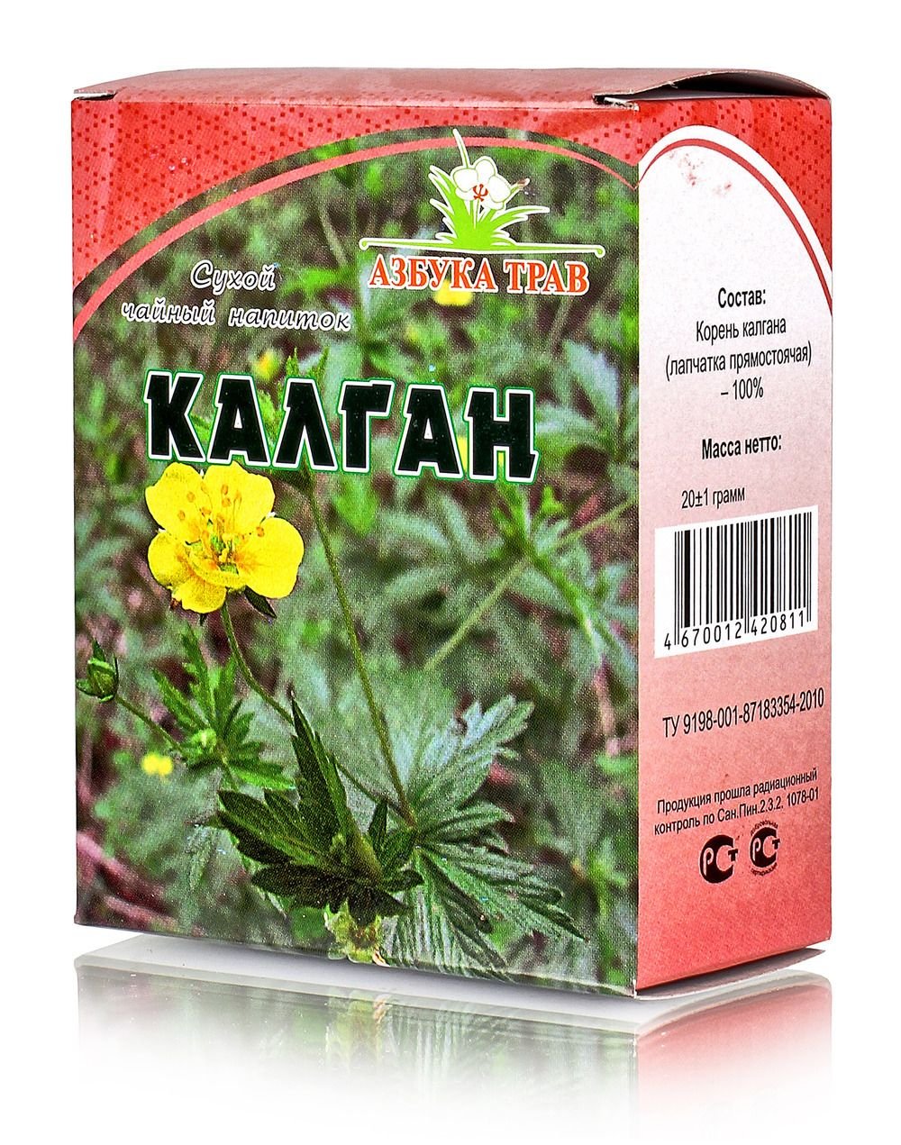 Лапчатка прямостоячая (калган) с корнем