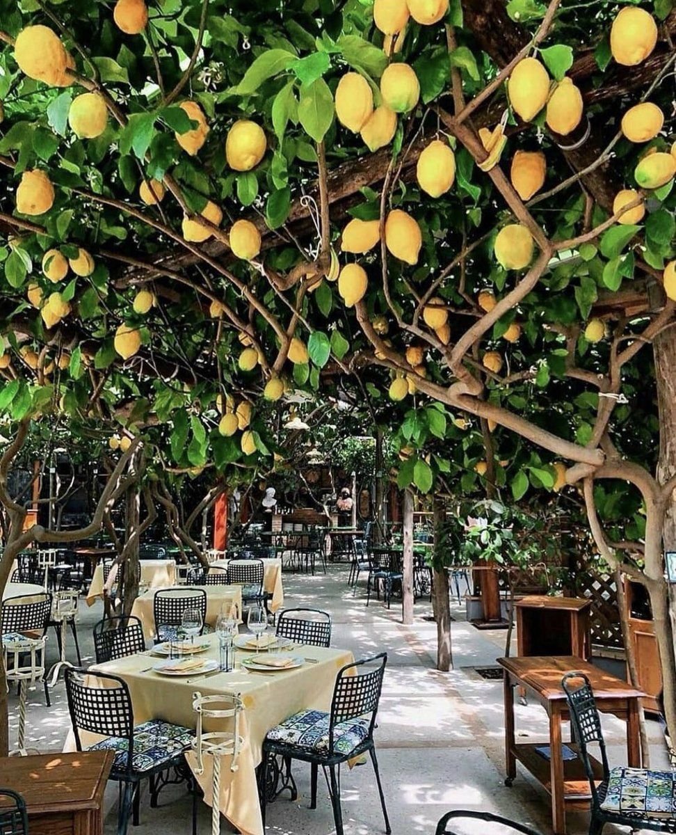Da Paolino Lemon Trees ресторан