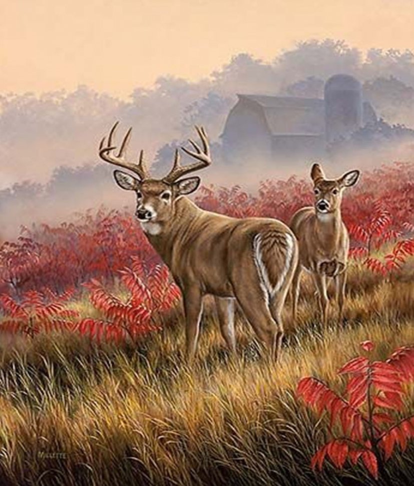 Rosemary Millette Deer