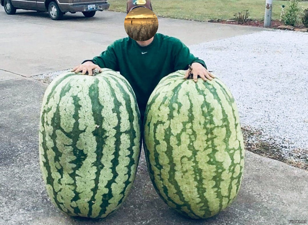 Гигантский Арбуз