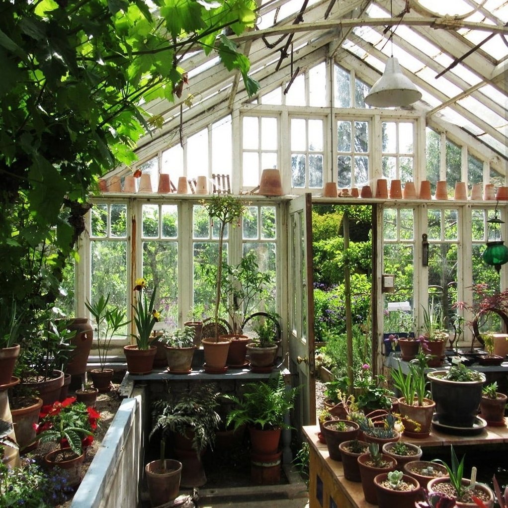 Теплица Елены Власенко Green House